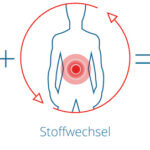 Formel gesund + aktiv Mein Ernährungsplan bei mga Physiotherapie & Osteopathie Melanie Franke